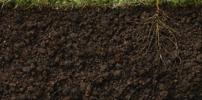 چگونه کیفیت خاک را زیاد کنیم ؟