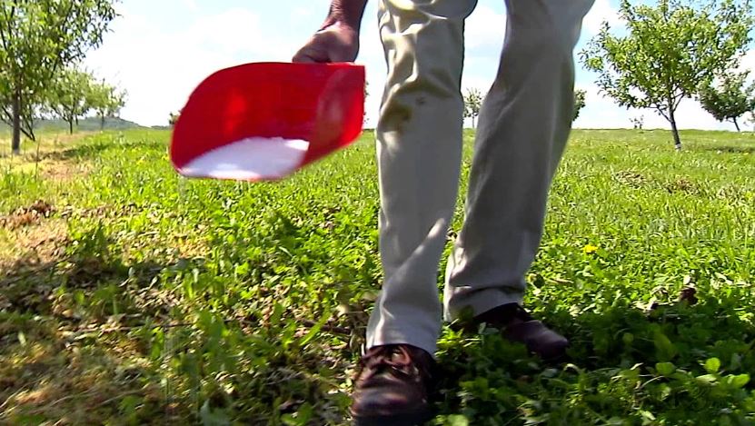 راهنمای کامل کوددهی به درختان سیب